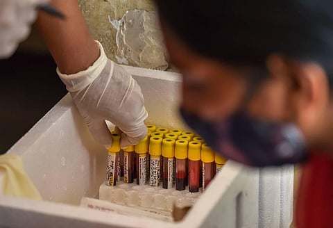 A health worker sorts collected COVID samples (Photo | PTI)