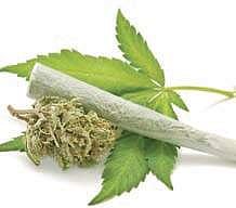 Illustration | Amit Bandre