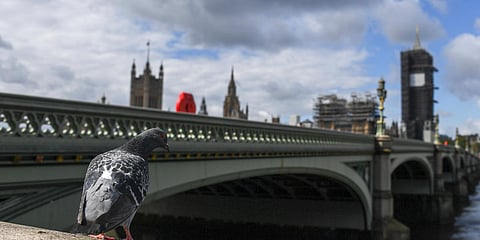 South bank of the river Thames, against the backdrop of the Houses of Parliament in London. (Photo| AP)