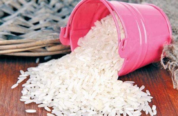 India achieves record food production for 2024-25 driven by significant increases in rice, wheat