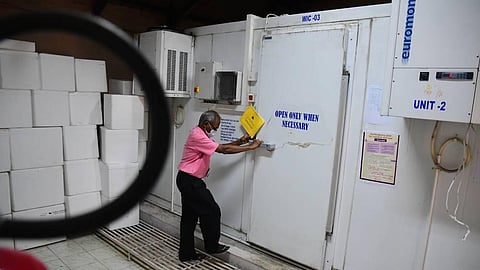 Representative image