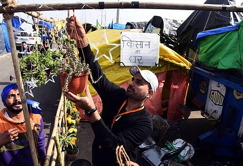 A farmer seen installing flower pot in front of his tent erected during the farmers protest demonstration against farm law at the ghazipur border. (Photo | Parveen Negi/EPS)