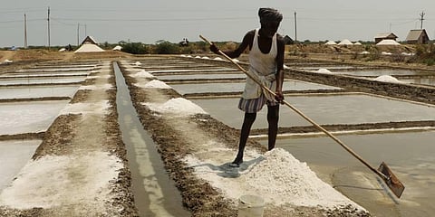 Small scale Nagai salt producers worried with auction