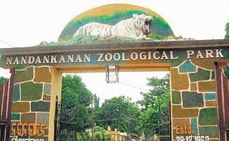 Nandankanan Zoo
