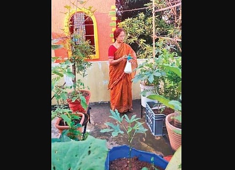 Organic farming is not a new trend.