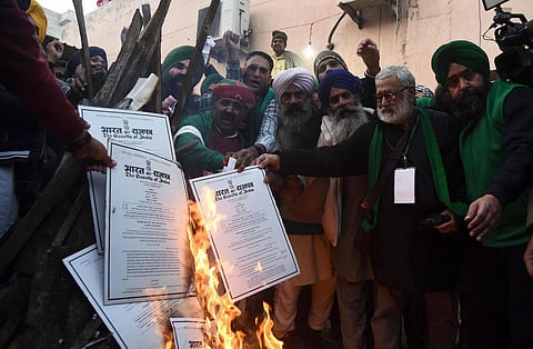 Farmers burn copies of the new agricultural reform laws as they celebrate Lohri festival during the demonstration against the central government, at Singhu border in New Delhi. (Photo | Parveen Negi)