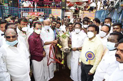 Avaniyapuram Jallikattu event
