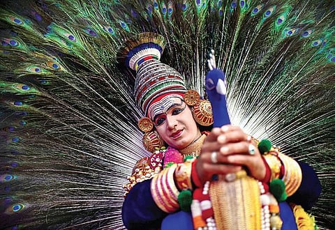 Representational image. (Photo| EPS, Vinay Madupu)