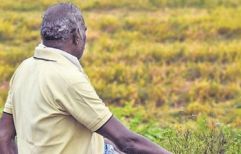 Image used for representational purposes only