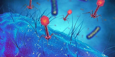 Image for representational purpose only