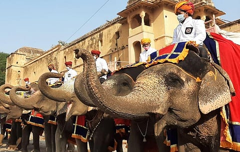 Elephants saluting at Amber fort in Jaipur (Photo | EPS)
