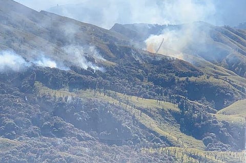 The wildfire in the Dzukou Valley on Nagaland-Manipur border. (Photo | Special Arrangement)
