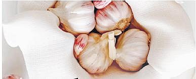 Upset over poor returns, Gujarat farmers distribute garlic for free