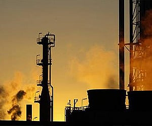 The role of Oilfed would increase soon as government is expanding cultivation of oil palm. (Representational Image)