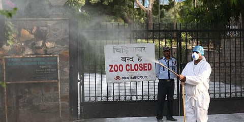 Delhi Zoo (Photo | EPS)
