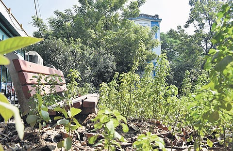 An unmaintained park near Purasaiwalkam traffic signal | Jatin R