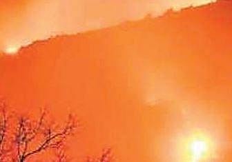 Forest fire: Dept plans for dry months ahead