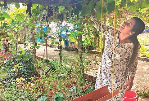 Sreevidya tending to the plants at her farm in Bedadka. 