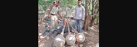 The seized stock was destroyed, and a case was registered against the accused.