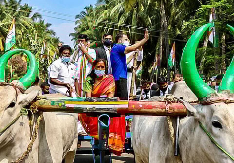 Congress leader Rahul Gandhi riding in a bullock cart being driven by Karur MP Jothimani at Vangal Panchayat in Karur on Monday. (Photo | EPS/ Aravind Raj)