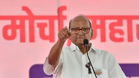 MVA seat-sharing talks to wrap up in 10 days; we must form govt at any cost: Sharad Pawar
