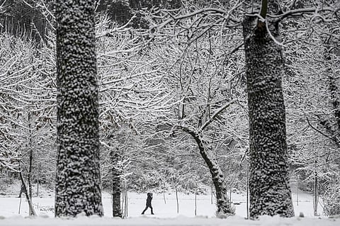 For representational purposes (Photo | AFP)