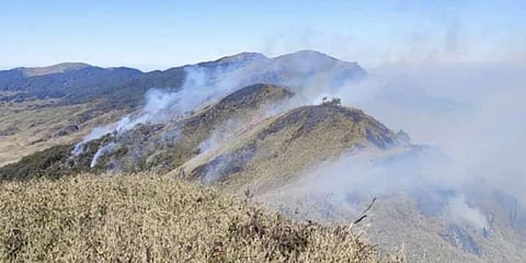 The fire broke out in the Dzukou range in Southern Angami region of the district on Tuesday afternoon. (Photo | PTI)