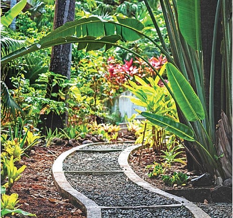 For representational purposes