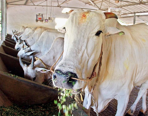 For representational purposes