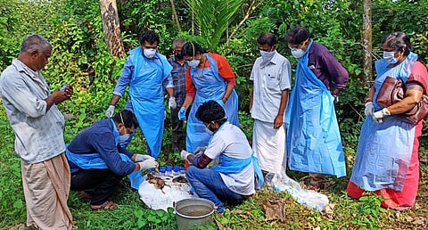 Scientists collecting samples from the dead ducks in Kuttanad last week (Photo | Express)