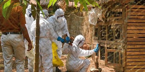 Image for representation (Photo | EPS)