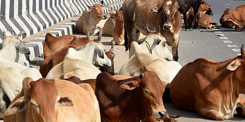 For representational purposes (Photo | EPS)