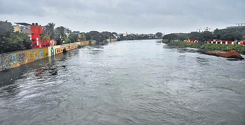 A view of the Adyar river. (Representational Photo | P Jawahar, EPS)