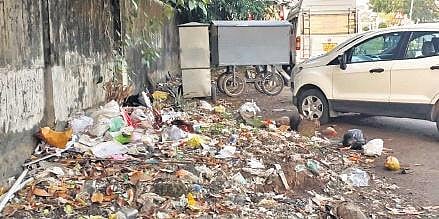 Garbage dumped near the walkway