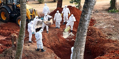 Rapid Response Team officials burying culled birds in a pit in Bhubaneswar. (Photo | EPS)