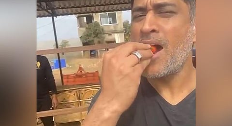 MS Dhoni having a strawberry from his own farm.