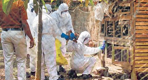 Representative Image.