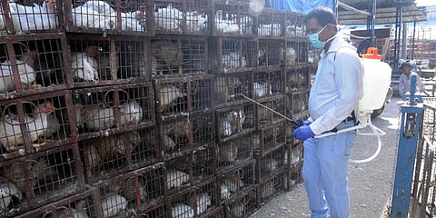 For representational purposes (Photo | EPS)