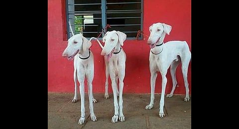 For representational purposes