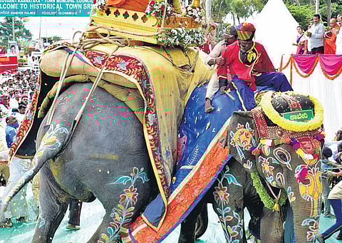 The elephant became restless and ran berserk, scaring hundreds gathered to witness the Dasara procession on Saturday | Udayshankar S