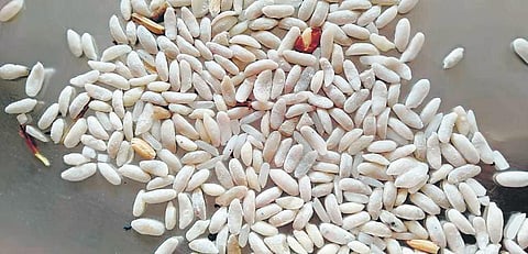Residents of Shigli, 47km from Gadag town, have demanded an investigation into the quality of rice distributed by Public Distribution Shops. (Photo| EPS)