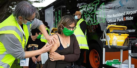 A health worker administers vaccinations at a mobile clinic in Auckland, New Zealand. (Photo | AP)