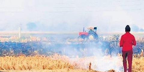 Stubble burning in Punjab and Haryana leads to increase in Delhi air pollution.