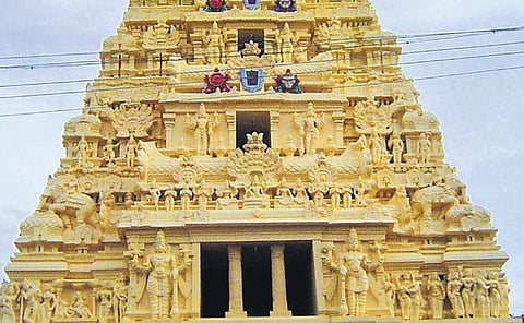 Photo: Chithra Madhavan