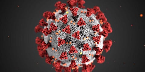 Representational image of Coronavirus. (File photo)