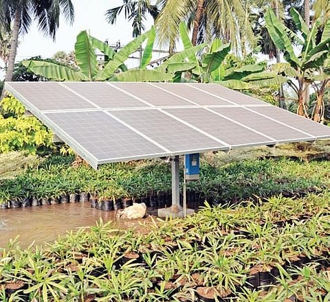 1 MW solar plant at Andhra's Rajiv Gandhi University to save Rs 49 lakhs a year