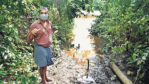 Babu K L visits the bank of Chalakudy river every two hours after the shutters of Sholayar and Poringalkuthu dams were opened on Monday. He has placed a stick on the bank to check the rising water lev