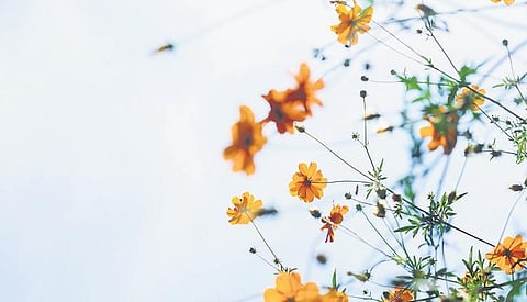 For representational purposes