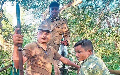 Forest dept personnel waiting on a temporary loft during the operation