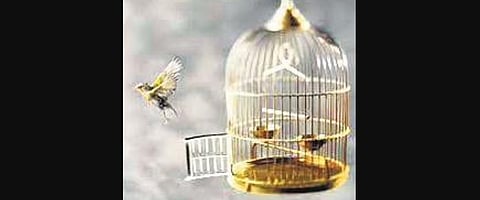 For representational purposes